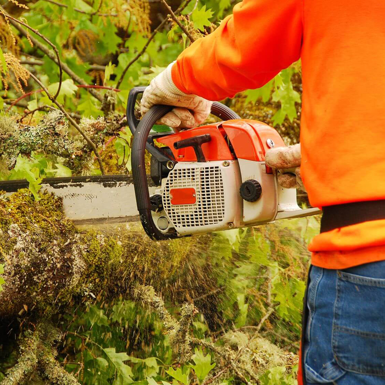 Horticulture and landscaping