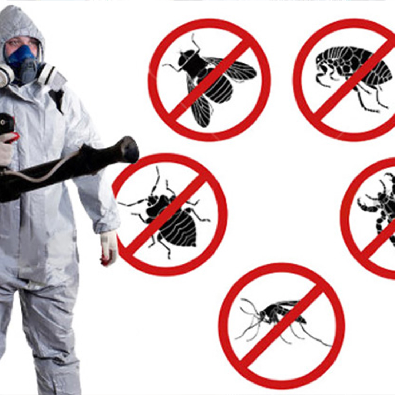 Pest control